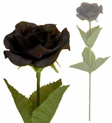     Black Imitation rose Alchemy Gothic ROSE1  2