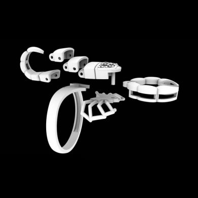  Scorpion embossed men's ring Yiwu Hecheng Jewelry Strength Supplier R889 -  