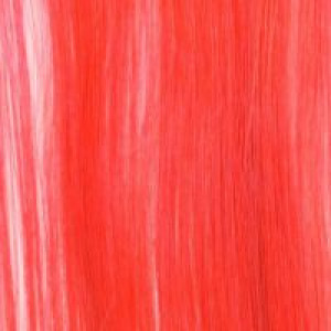      Adore Fruit Punch -  1