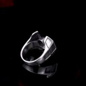  Beier 316L stainless steel ring International Beier 316L stainless steel ring -  