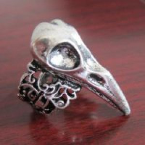  Hot Fashion Crow Nest Bird Skull Ring International TOP100707 -  