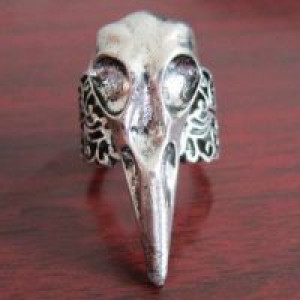  Hot Fashion Crow Nest Bird Skull Ring International TOP100707 -  