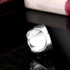     steel soldier High Qiuality Heavy Metal Dragon Claw Ring CZ zircon Exaggerated Personality Jewelry f International BR8-046_RD -  