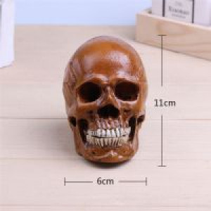     P-Flame Brown Color Human Skull Replica Resin Crafts Model Medical Realistic Handmade Home Decoratio International HumanSkull2 -  