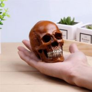     P-Flame Brown Color Human Skull Replica Resin Crafts Model Medical Realistic Handmade Home Decoratio International HumanSkull2 -  