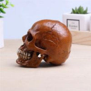     P-Flame Brown Color Human Skull Replica Resin Crafts Model Medical Realistic Handmade Home Decoratio International HumanSkull2 -  