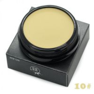 - Professional Base Makeup Concealer Foundation Cream 10 Colors Oil-control Moisturizing Cover Pore Ca International XLHB264_10 -  
