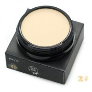 - Professional Base Makeup Concealer Foundation Cream 10 Colors Oil-control Moisturizing Cover Pore Ca International XLHB264_2 -  