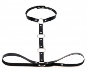  +   International HBS-BLCK -  