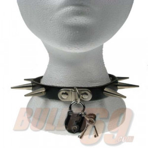  MEDIUM CONE SPIKE & PADLOCK - 