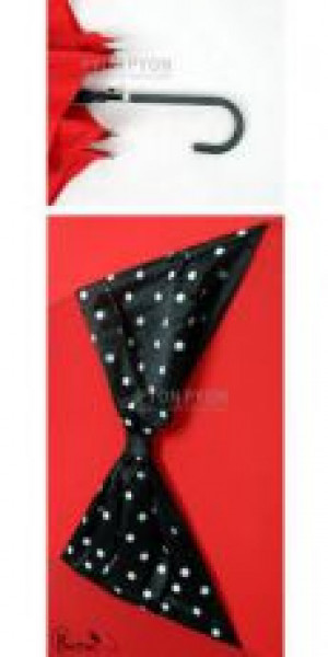  ACCESSORIES -  3