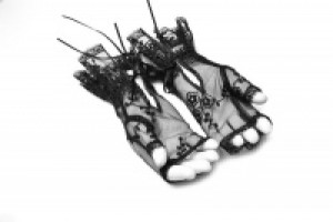  Gothic lace gloves Punk Rave WS-247SSF/BK -  