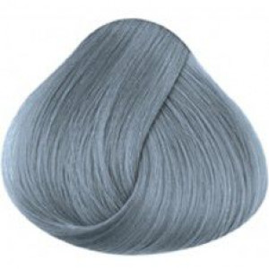    Directions SILVER - 