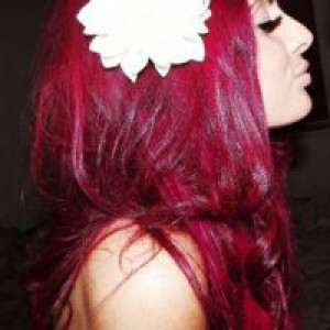      Directions ROSE RED -  2