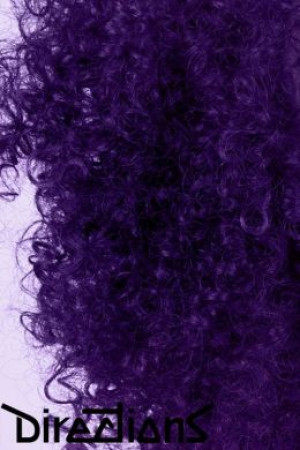     Directions DEEP PURPLE La Riche Directions 78253 -  