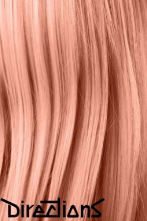     Directions PEACH La Riche Directions 78252 -  