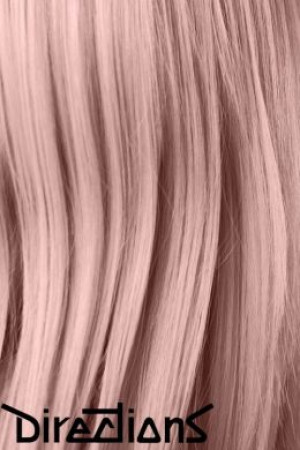     Directions PASTEL ROSE La Riche Directions 78251 -  
