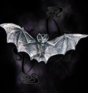    Darkling Bat - 