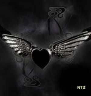   Coeur Noir - 