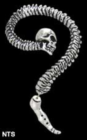    Necacrosome - Spine - 