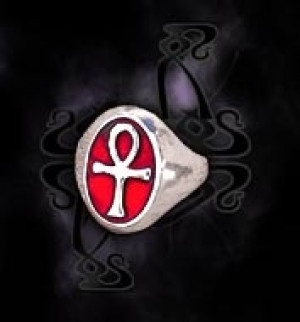  Life Cartouche - 