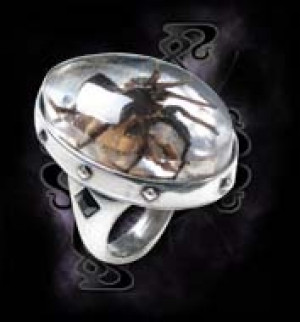  Wolf Spider - 