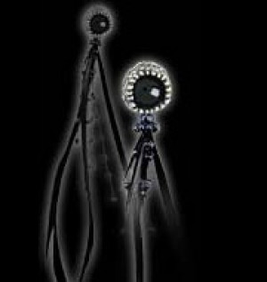  Raven's Eye - 