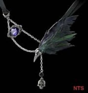   The Raven - 