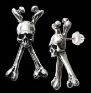       Long Bone (Single) - 