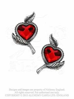  Love's Blossom - 