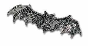  Darkling Bat - Slide - 