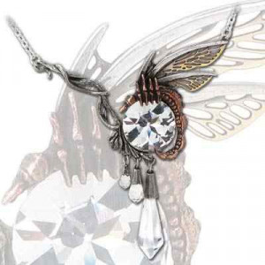  Libellestein - 