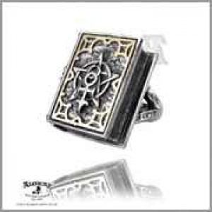  Dee's Book of Angel Magic Stash Ring - 