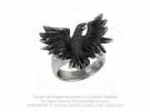 Flocking Raven - 