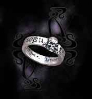  The Great Wish-Ring - 