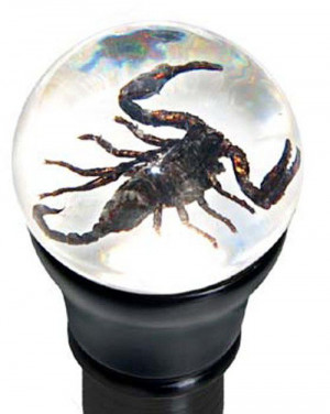    ASS61 Scorpion Gear Knob - 