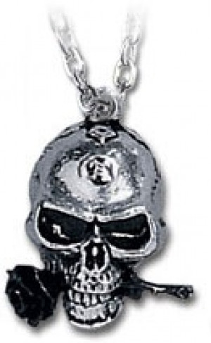  The Alchemist Alchemy Gothic P26 -  