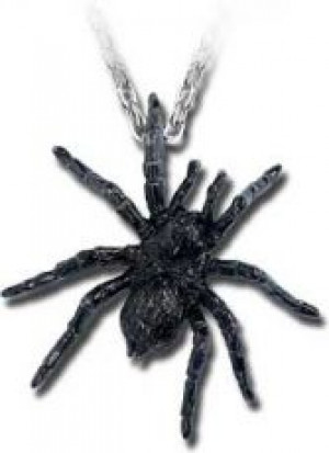    Muroni -  1