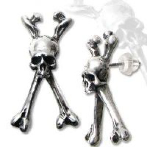       Long Bone (Single) -  1
