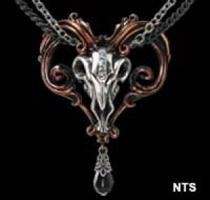    Amon-Ra Alchemy Gothic P656 -  