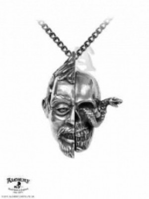  Vanitas Memento Mori Locket Pendant Alchemy Gothic P673 -  