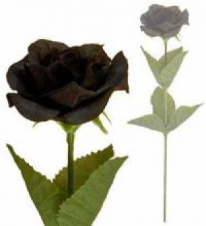     Black Imitation rose -  1