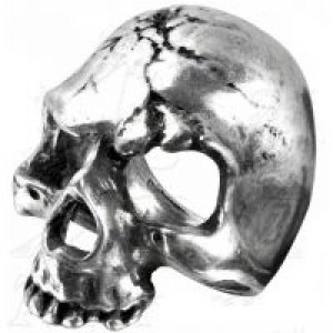  Ruination Skull Alchemy Gothic R174 -  