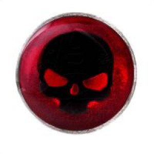  Doom - faux stretcher -  1