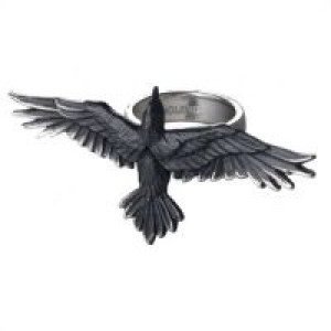    Black Consort -  2