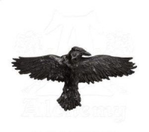    Raven Hair Clip Alchemy Gothic HH10 -  