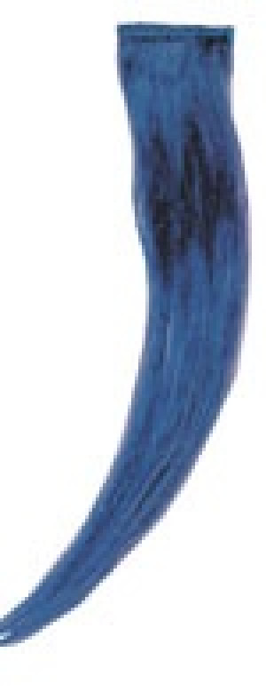   Shocking Blue - 