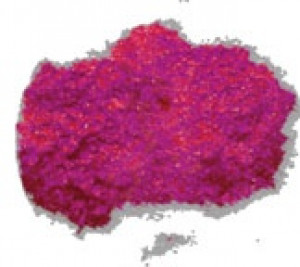   Manic Panic Hot Hot Pink Manic Panic LDU10005 -  