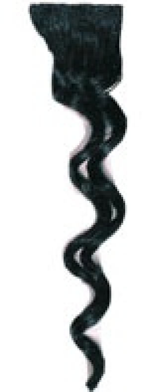   Raven Manic Panic SCU15406 -  