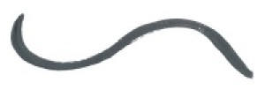    Enchanted Forest Liq Eyeliner Manic Panic LEL61006 -  